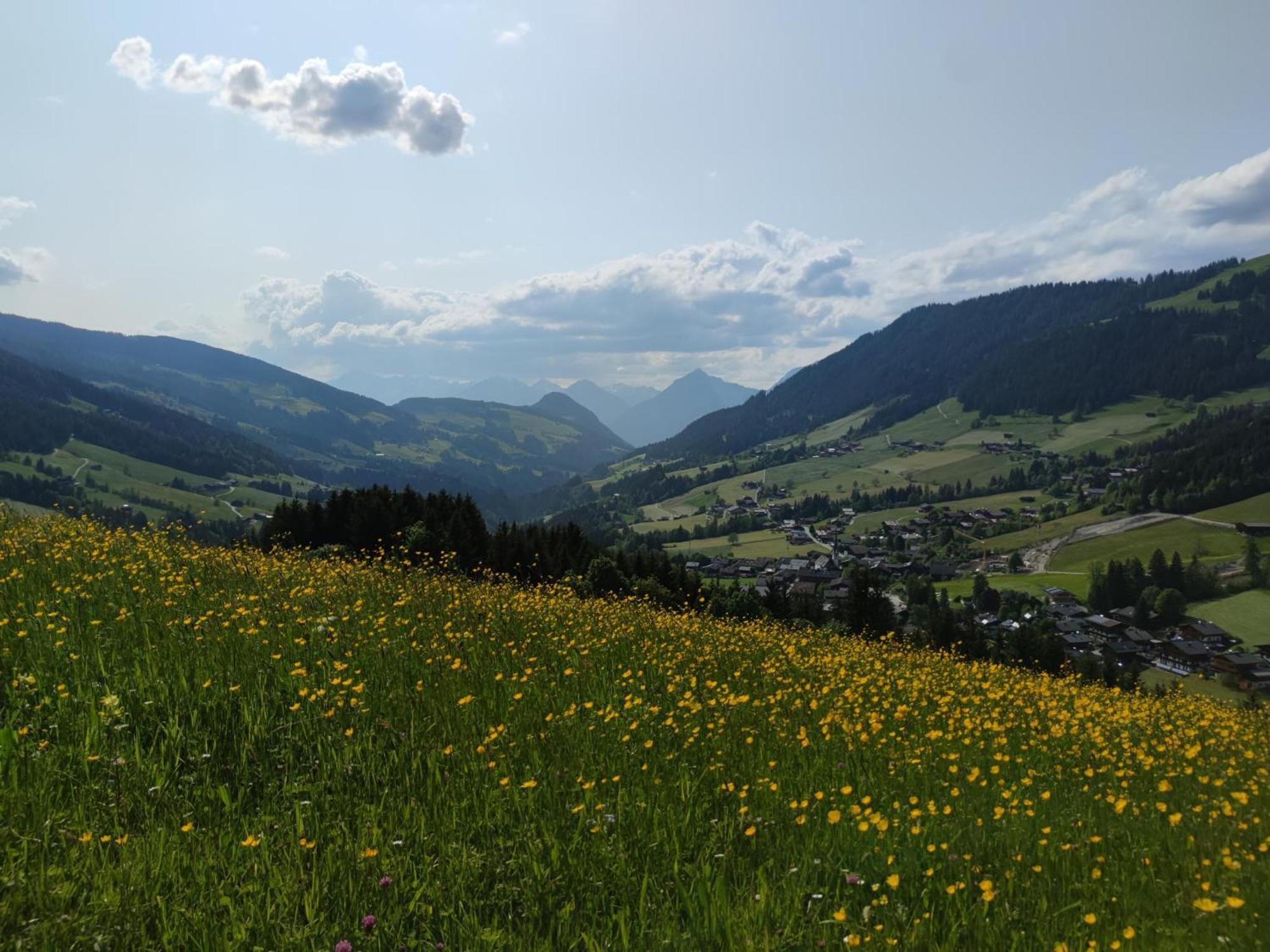 אלפבאך Chalet Mountain View מראה חיצוני תמונה